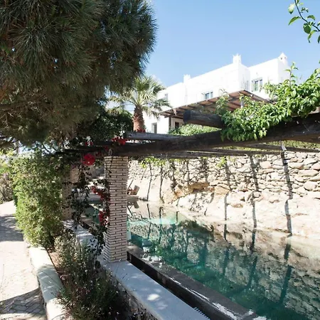 Oasis A Magical Garden In * Mykonos Town