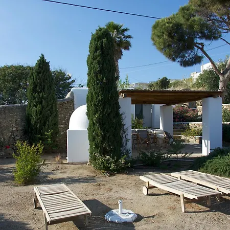 Oasis A Magical Garden In Willa *