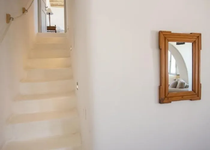 Oasis A Magical Garden In Willa