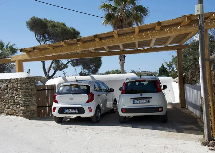 Oasis A Magical Garden In Willa