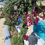 Oasis A Magical Garden In *
