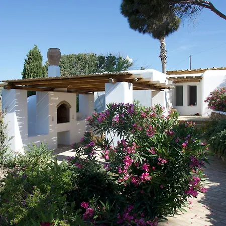 Oasis A Magical Garden In Villa
