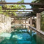 Oasis A Magical Garden In *