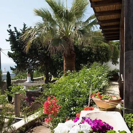Villa Oasis A Magical Garden In