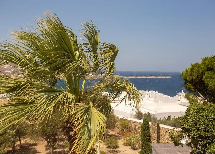 Oasis A Magical Garden In 别墅