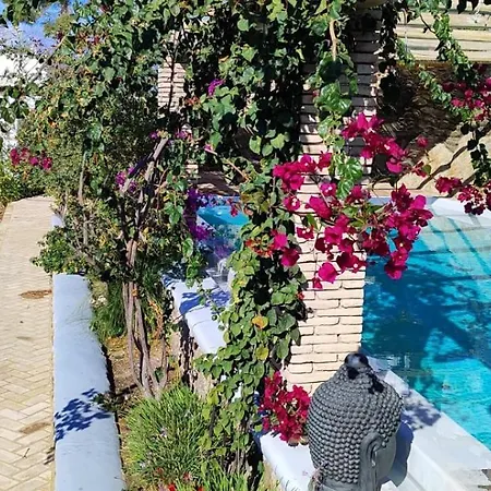 Oasis A Magical Garden In *