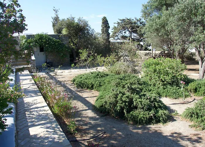 Villa Oasis A Magical Garden In Mykonos Town
